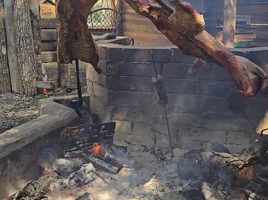 Tour Rupestre Patagonia-纳塔莱斯港必去景点