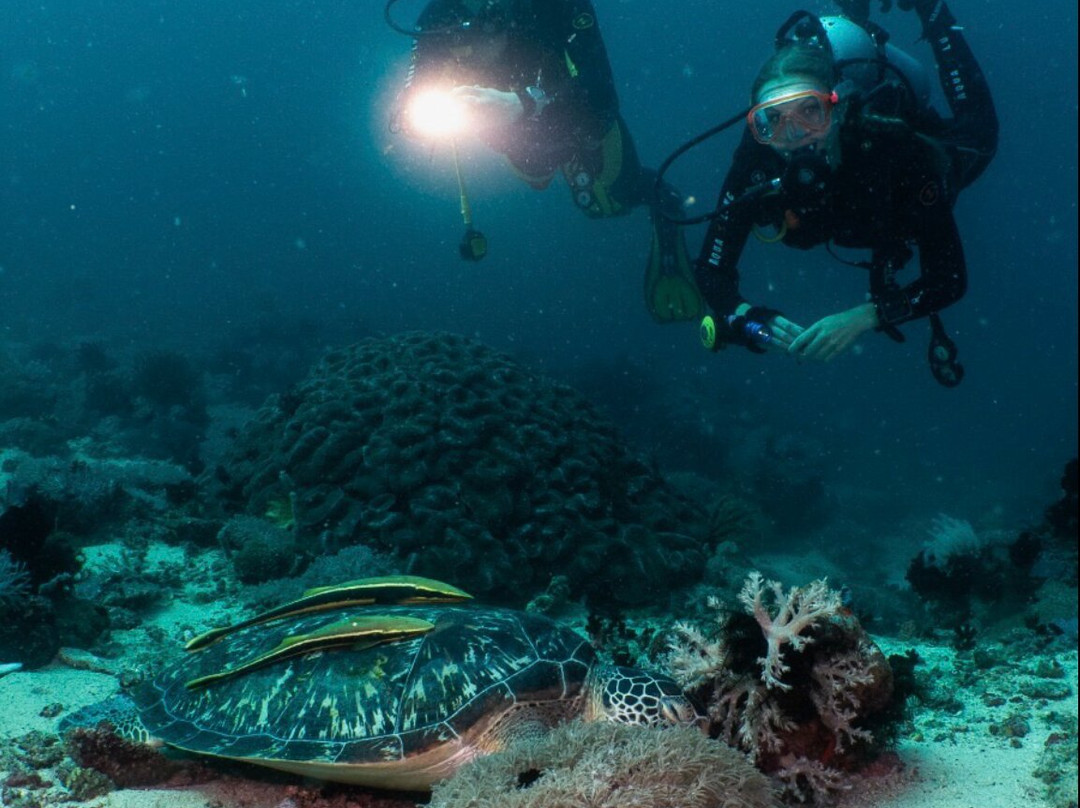 行动派潜水中心-葡多咖蕾拉必去景点