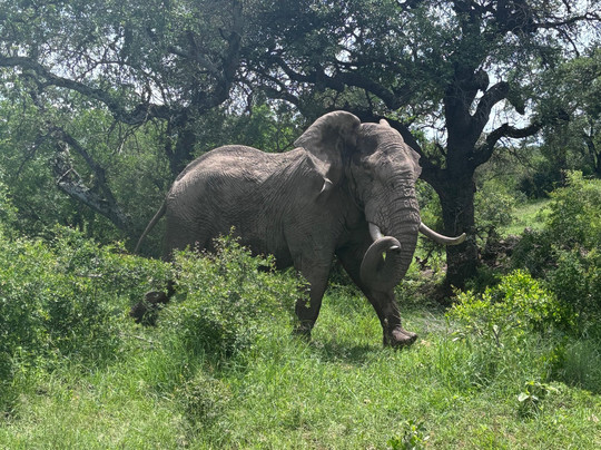 Bush Xplorers-雾观必去景点