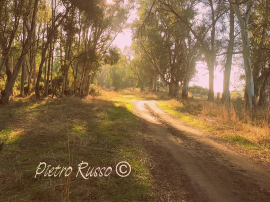 Oasi Naturale del Pantano-Marina di Strongoli必去景点