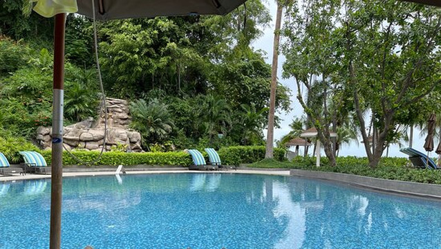 皇家翼酒店主图