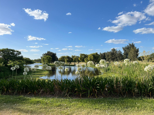 Sheraton Colonia Golf & Spa Resort主图