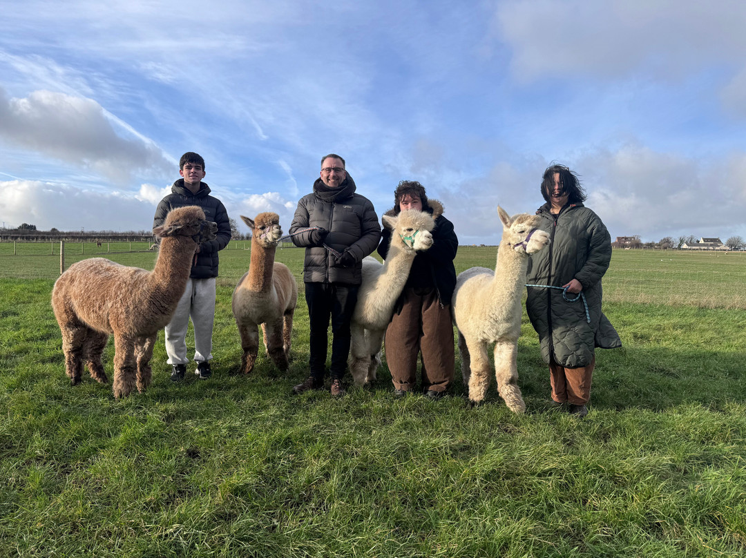 Natterjack Alpacas-Ormskirk必去景点