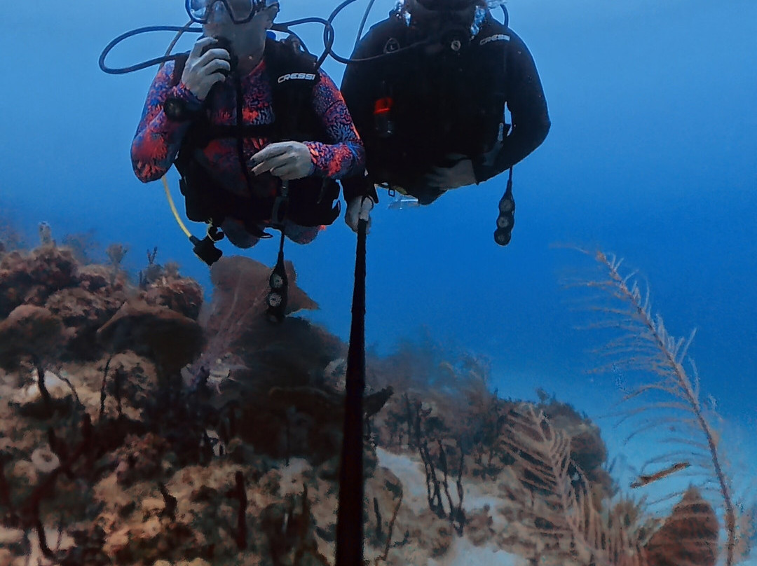 CWORI Dive Center-Smith Bay必去景点