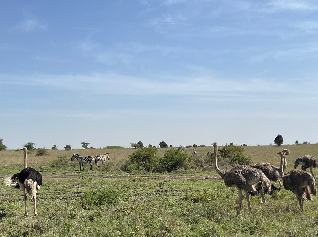 DISCOVERY OUTDOORS KENYA-Langata必去景点