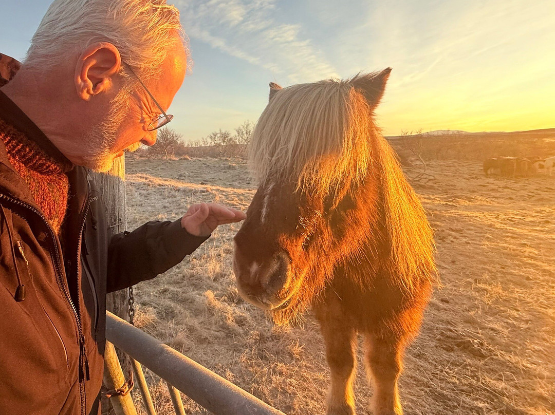 Deluxe Iceland-凯夫拉维克必去景点