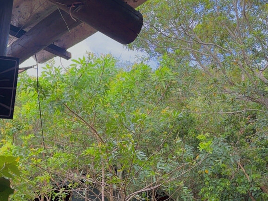 Dunas da Joaquina-弗洛里亚诺波利斯必去景点