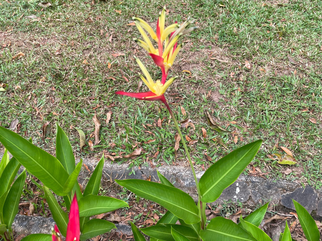 塔玛林德树酒店主图