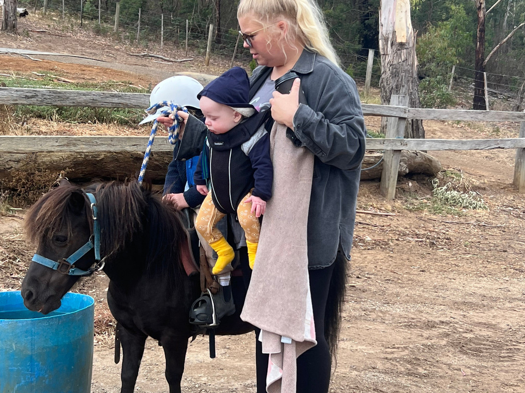 Spring Creek Horse Rides-贝尔布拉必去景点