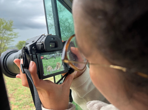 Angelino Adventures-莫西必去景点