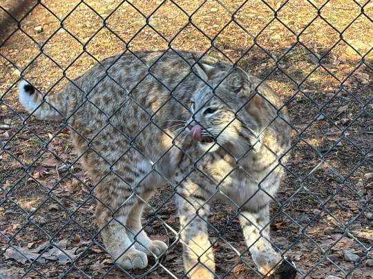 Lakota Wolf Preserve-Columbia必去景点