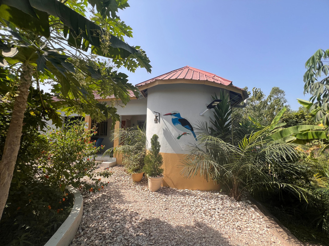 Senegambia Birding-Mandinari必去景点