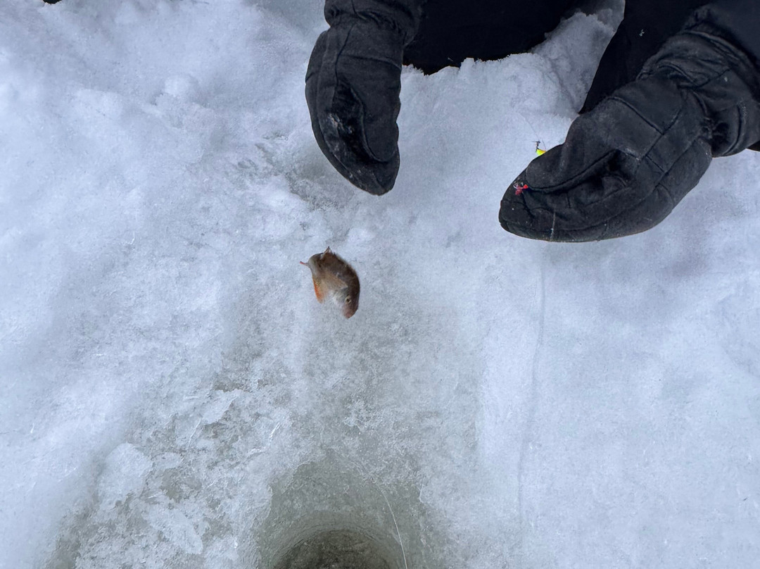 Juki Tours-Levi必去景点