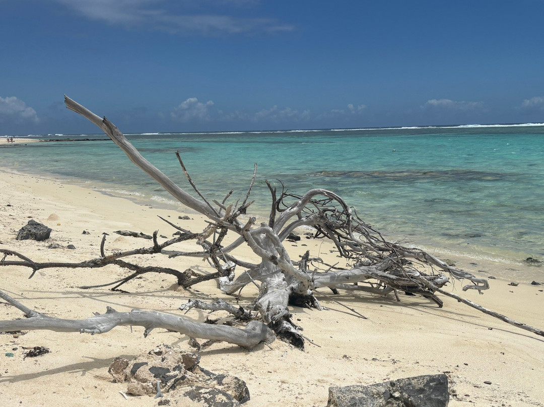 One Drop Excursions-格兰高伯必去景点