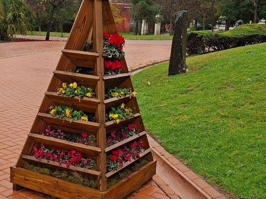 鸽子公园-班纳玛德纳必去景点