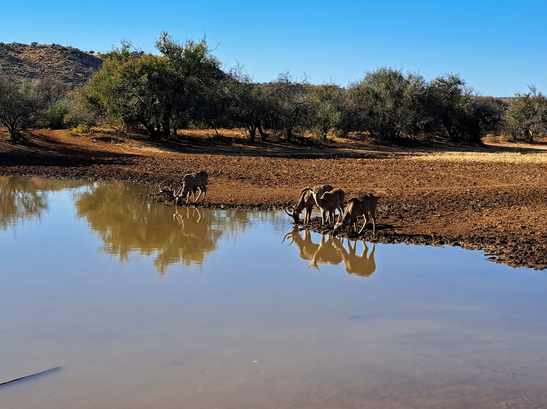 Mokala National Park-金伯利必去景点