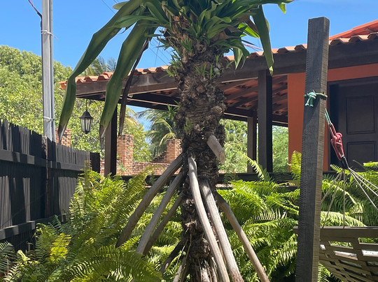 Pousada Jurara主图