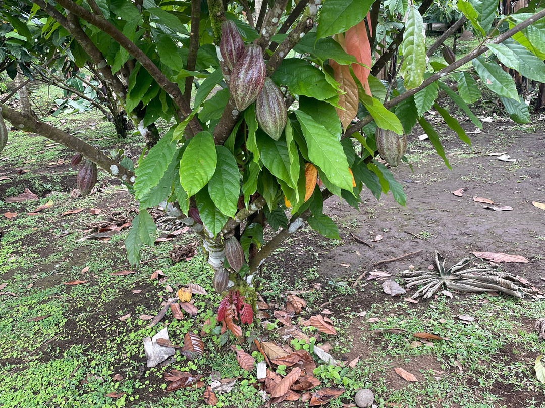 Allan Adventures-La Cruz必去景点