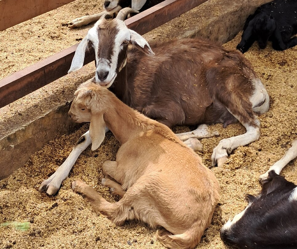 Bioparque Guátika-Tibasosa必去景点