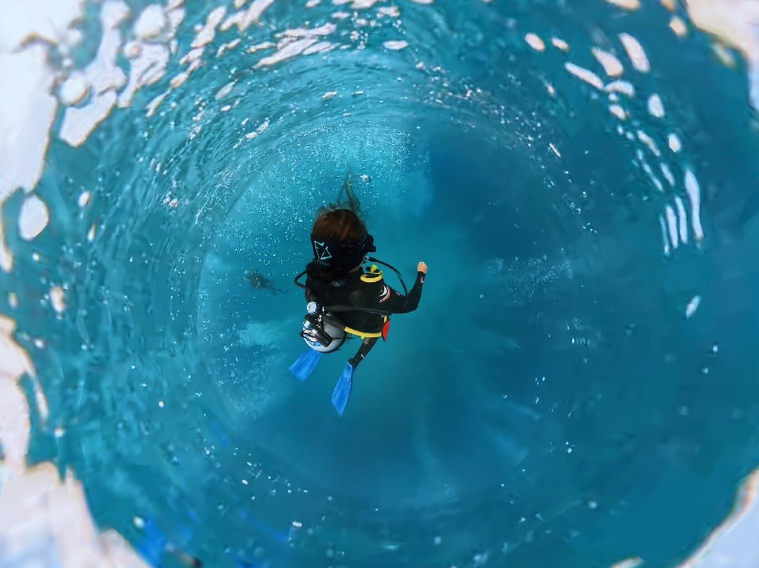 Family Divers Maldives-拉斯胡必去景点
