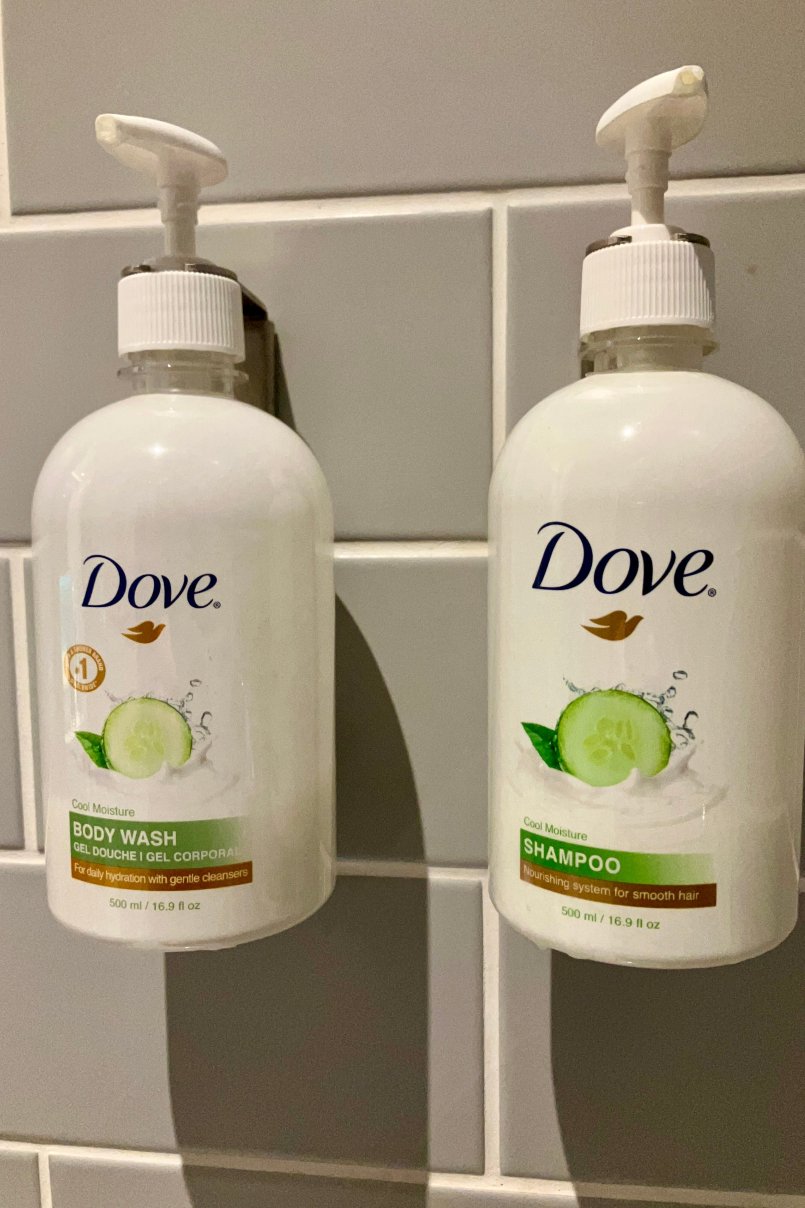 特里尔智选假日酒店-浴室