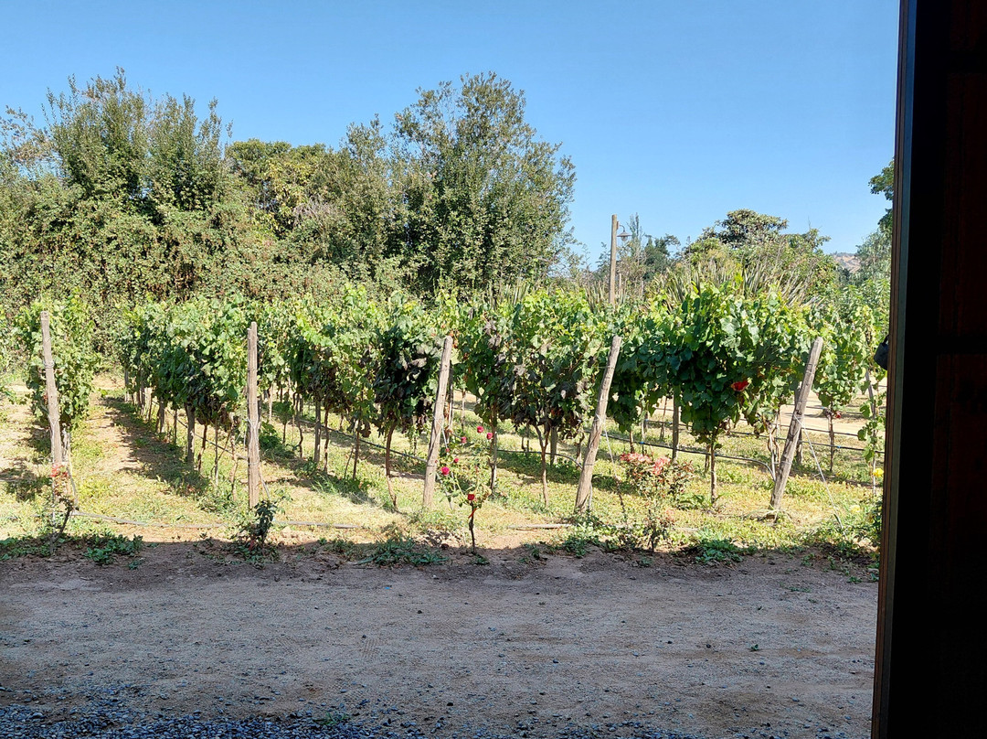 Campo La Quirinca-Isla de Maipo必去景点