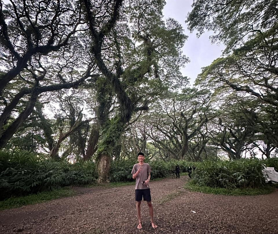 Yukbanyuwangi-巴纽旺宣必去景点