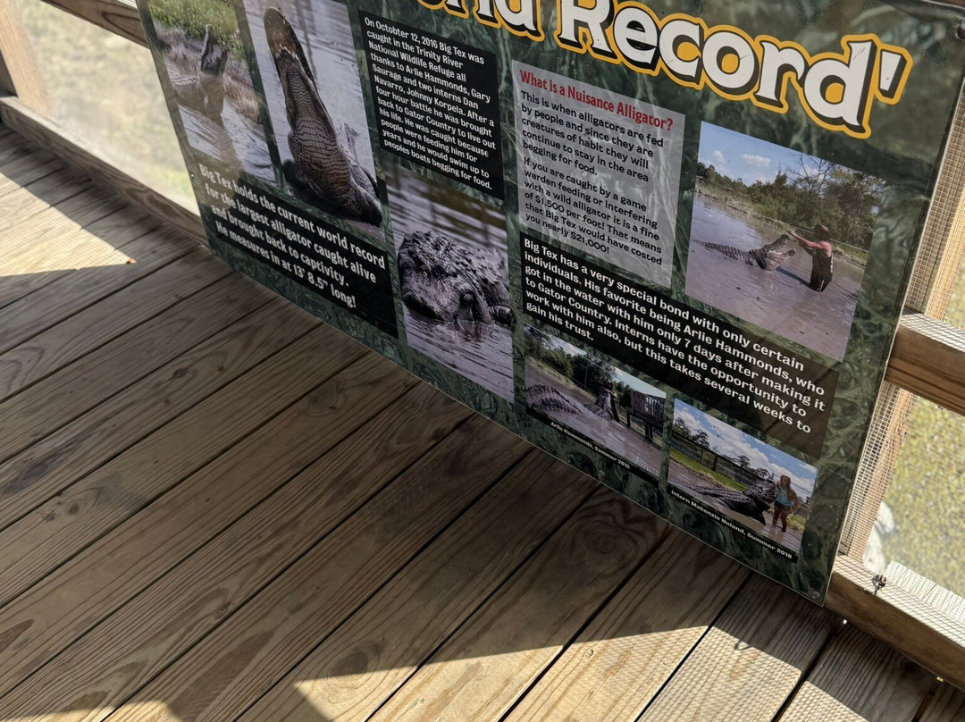 Gator Country-博蒙特必去景点