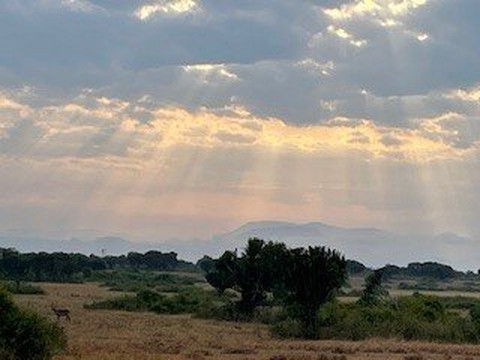 Blacksmith safaris ltd-坎帕拉必去景点