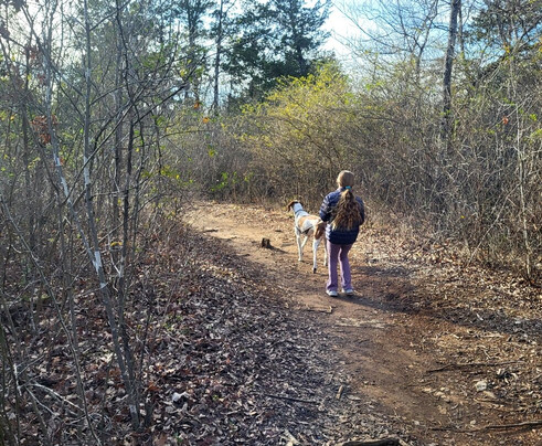 Stones River National Battlefield-默弗里斯伯勒必去景点
