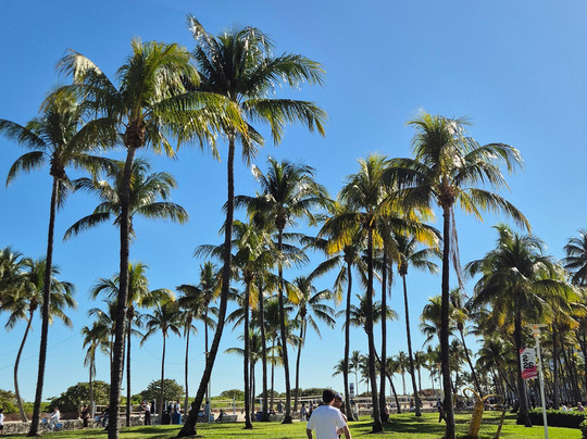 South Beach-迈阿密海滩必去景点