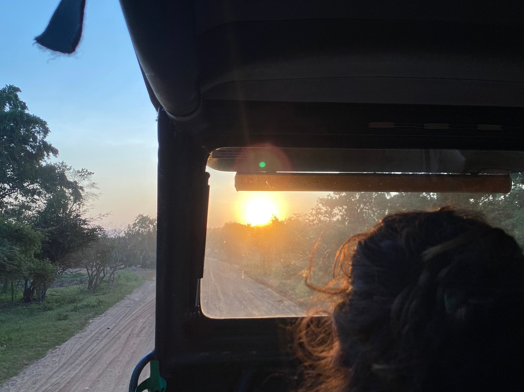 Eddy's Expeditions-加勒必去景点