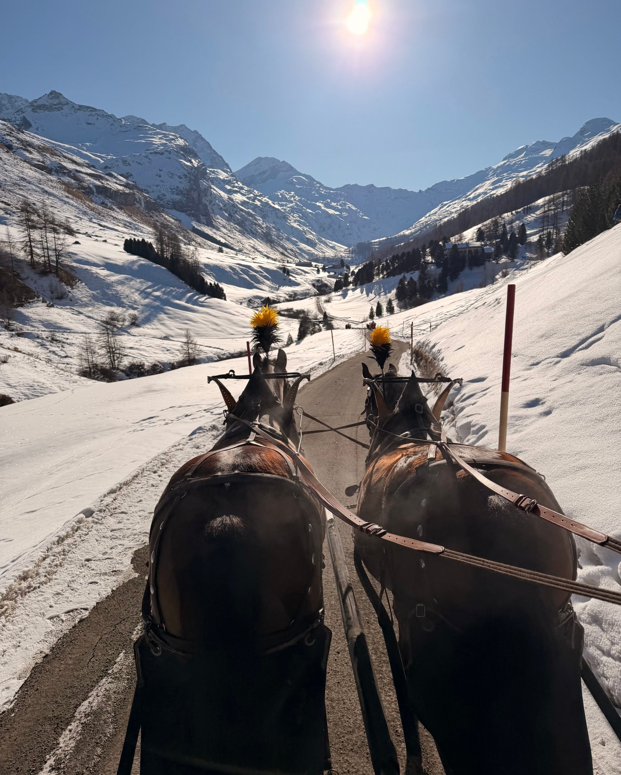 Hotel Edelweiss-官方