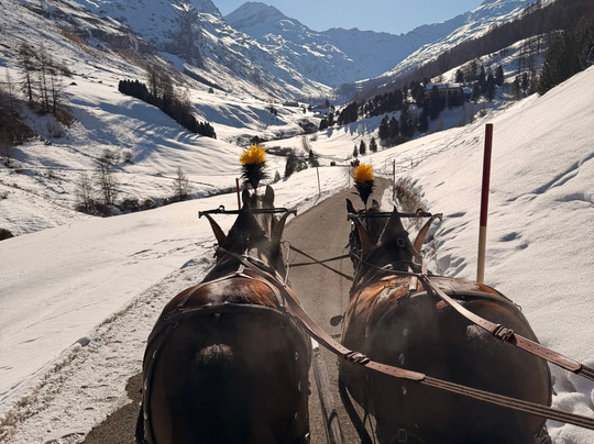 Hotel Edelweiss主图