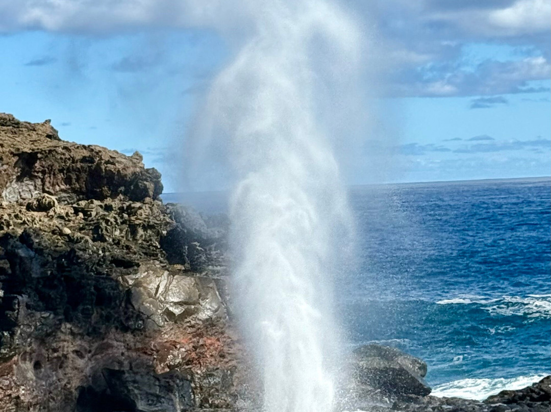 Makana Maui Adventures-怀露库必去景点