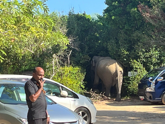 Cinnamon Hotels and Resorts-Yala必去景点