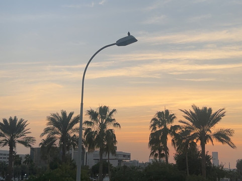 Doha Bus-多哈必去景点