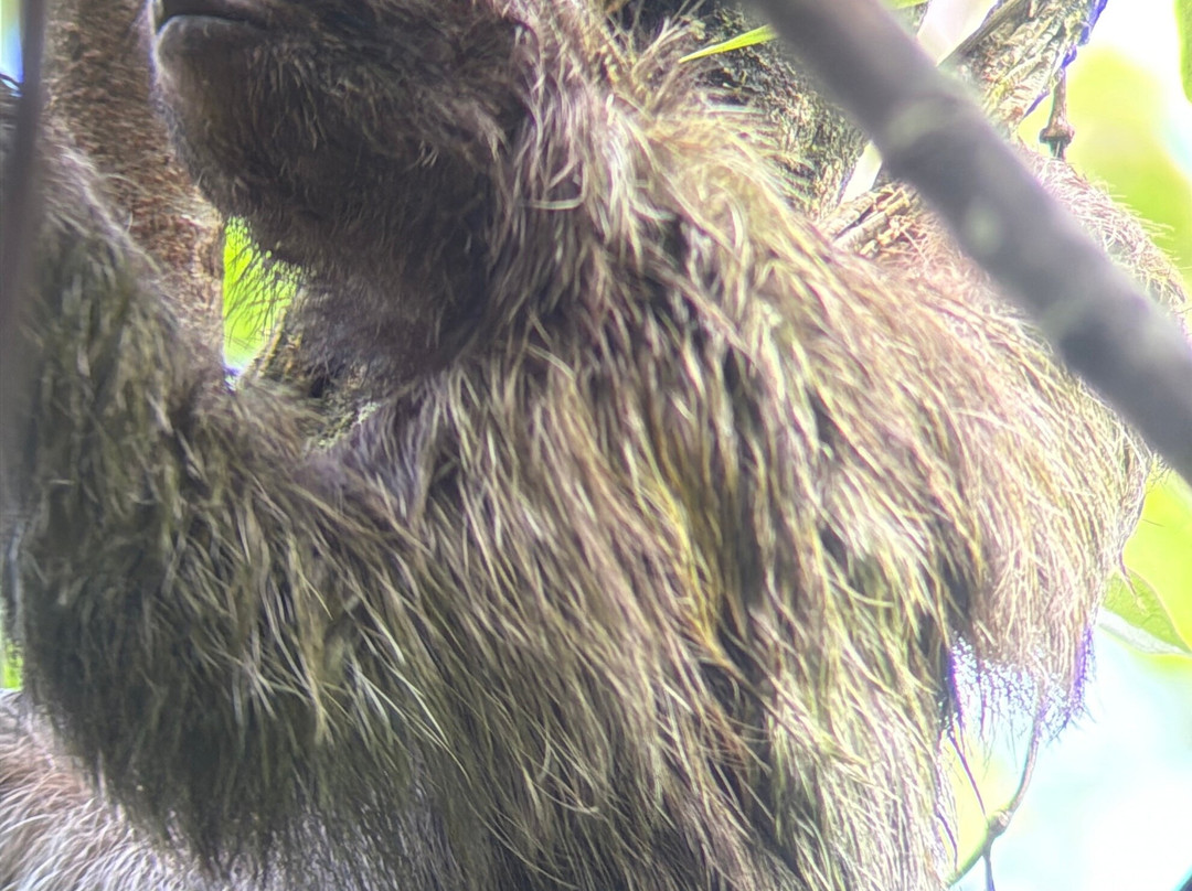 Jungle Life Costa Rica-Bijagua de Upala必去景点