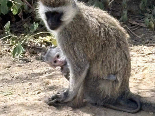 The Olmalaika Trust-Sekenani必去景点