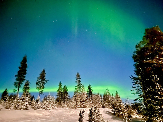 Wilderness Hotel Kirikeskus主图