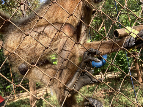 Congo Canopy Tours-Artola必去景点