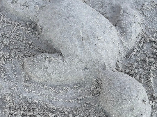 Praia Meia-Praia-Itapema必去景点