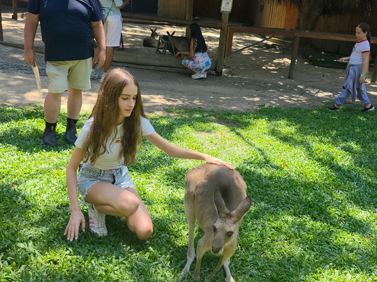 Tablelands Tours-凯恩斯必去景点