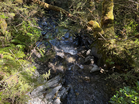 Lewis Pass-Maruia必去景点