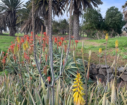 Costa Teguise Golf-科斯塔特吉塞必去景点