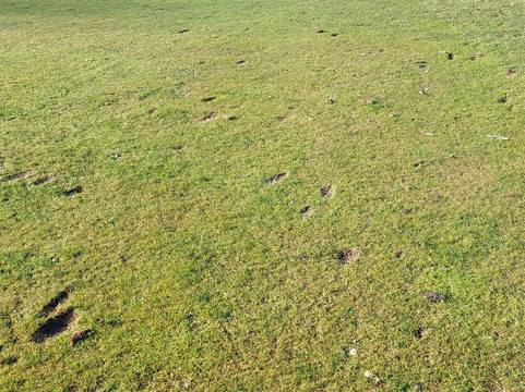 Golfclub Midden-brabant