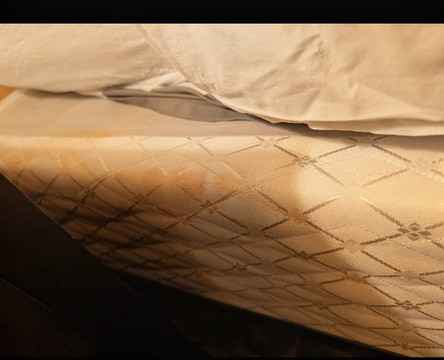 阿灵顿/马里斯维尔贝斯特韦斯特优质酒店主图