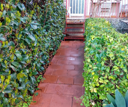 捷尼亚民宿主图