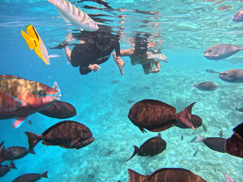 iCom Tours-马富士岛必去景点