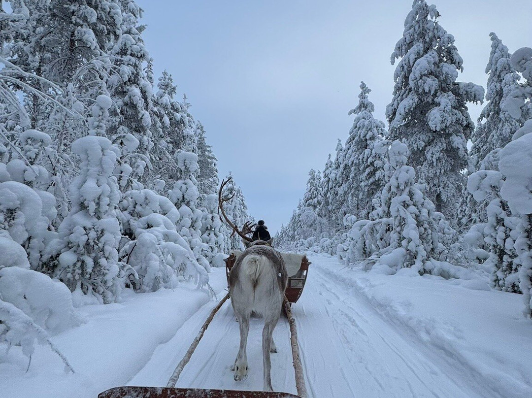 征服北极之旅-罗瓦涅米必去景点